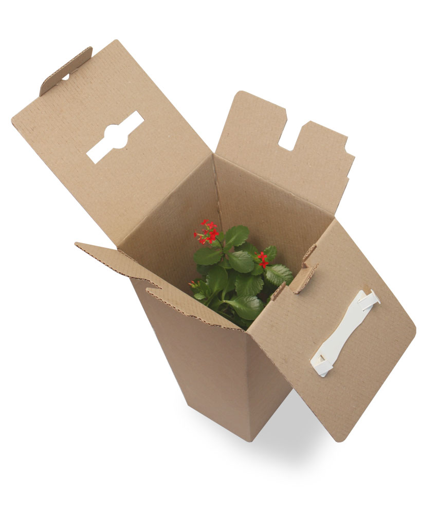 Коробки для цветов - изготовление картонных коробок под цветы заказать отпроизводителя - Санкт-Петербурге